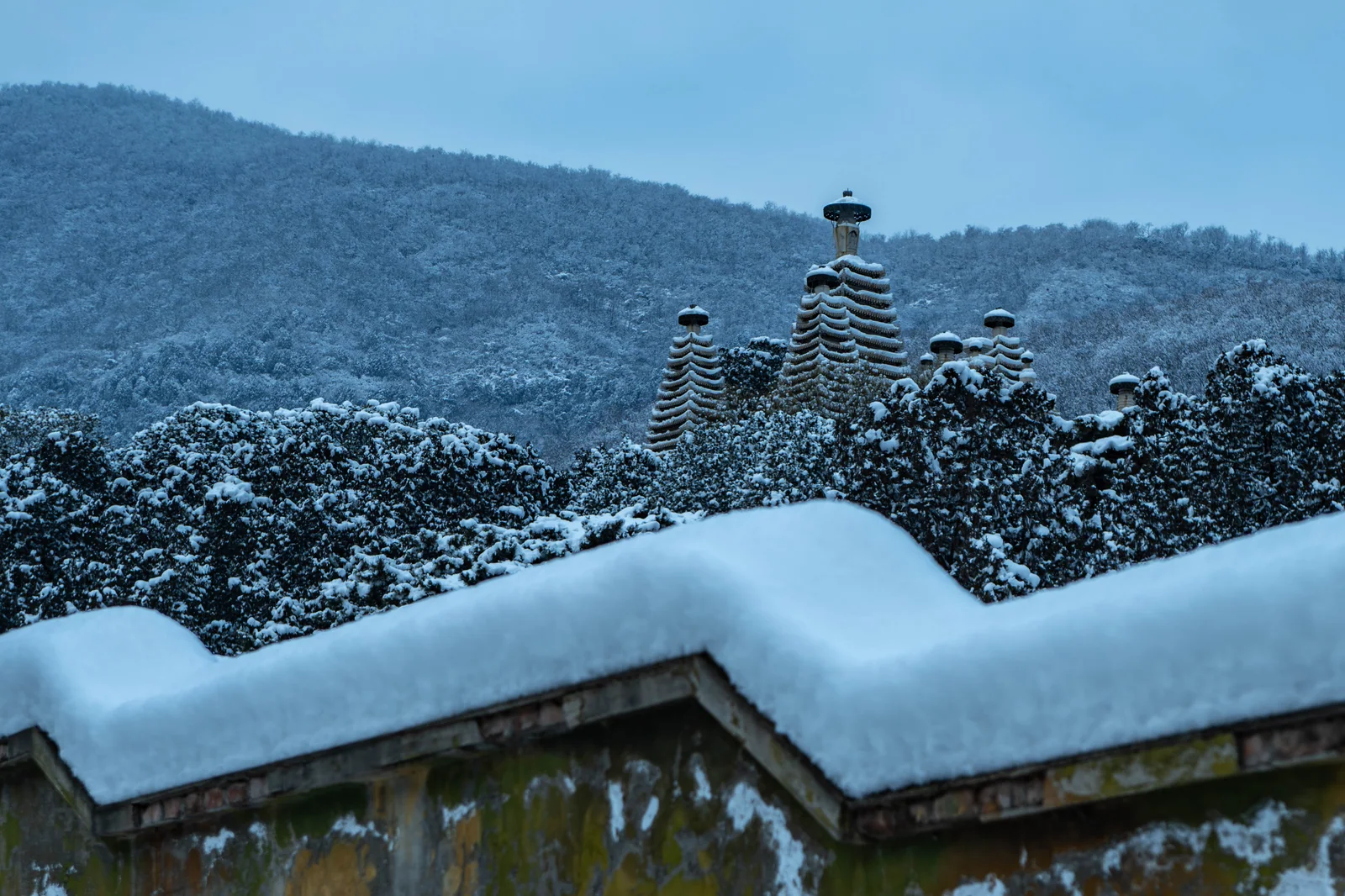香山雪景中的第 5 幅摄影作品（DSC_9906）
