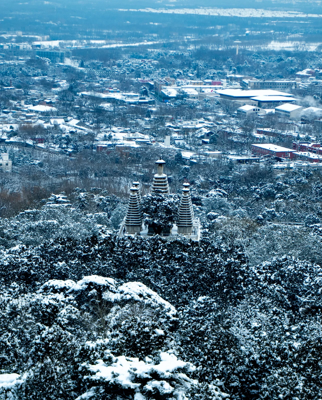 香山雪景中的第 6 幅摄影作品（DSC_9923）