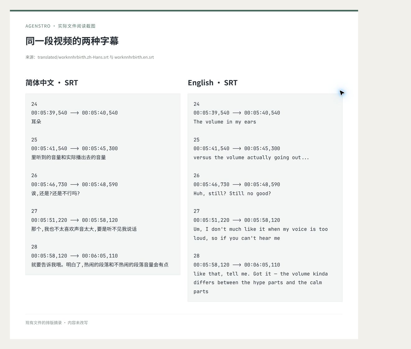 同一时间段的中英文SRT字幕